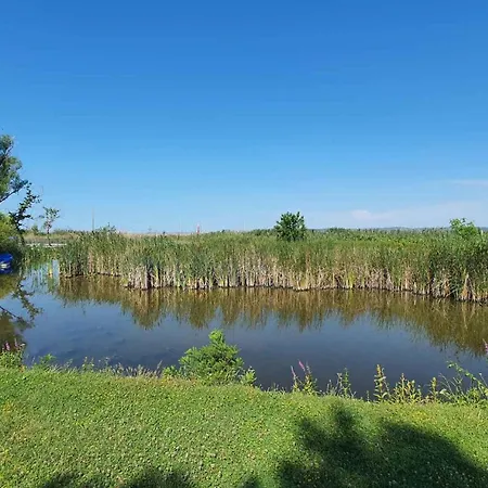 In - Balaton 20218 * Сантод